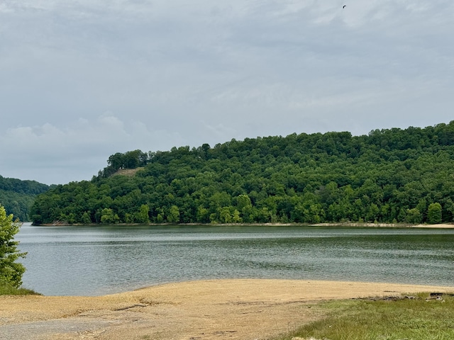 115 Wolf Creek Crossing Rd, Nancy, KY 42544 - water view with a heavily wooded area