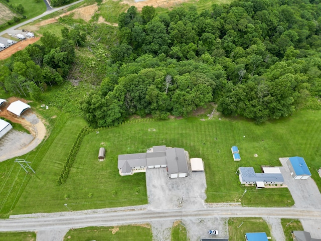115 Wolf Creek Crossing Rd, Nancy, KY 42544 - aerial view of property's location