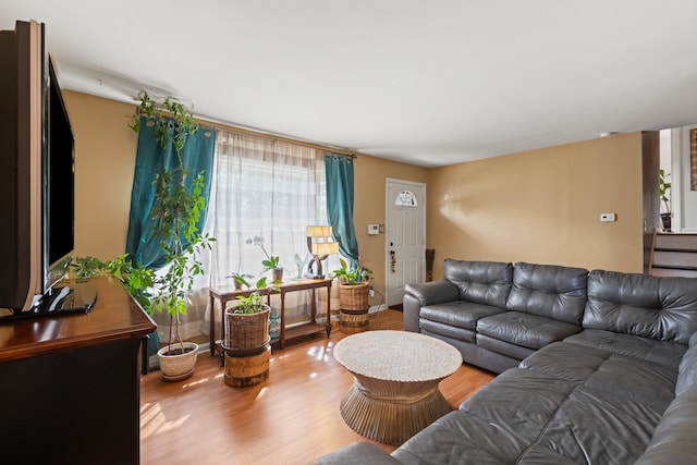 1716 Biloxi Ct, Lexington, KY 40505 - living room featuring healthy amount of natural light and wood finished floors
