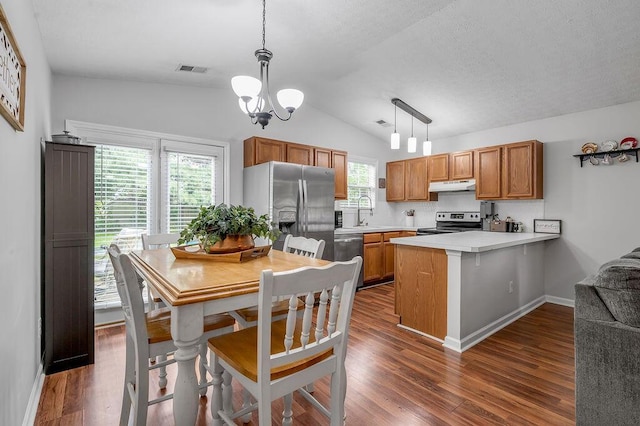 1416 Equine Way, Frankfort, KY 40601 - kitchen featuring under cabinet range hood, appliances with stainless steel finishes, lofted ceiling, a peninsula, and light countertops