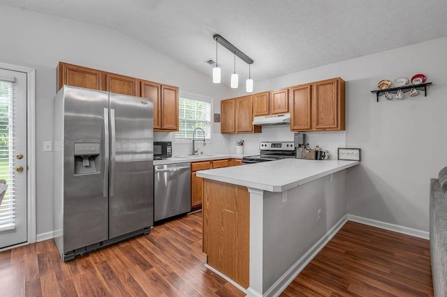 1416 Equine Way, Frankfort, KY 40601 - kitchen featuring appliances with stainless steel finishes, under cabinet range hood, a sink, a peninsula, and lofted ceiling