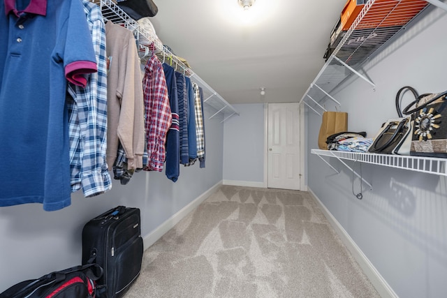 1369 Saddle Club Way, Lexington, KY 40504 - walk in closet featuring carpet floors