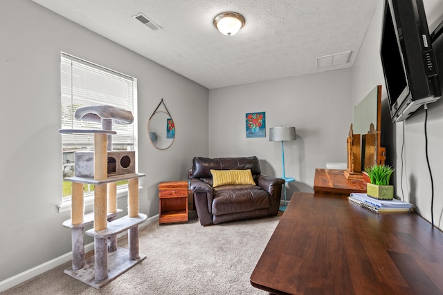 416 Scottsdale Cir, Lexington, KY 40511 - living room featuring a textured ceiling and light carpet