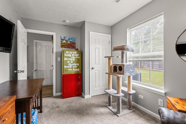416 Scottsdale Cir, Lexington, KY 40511 - home office featuring carpet floors and plenty of natural light