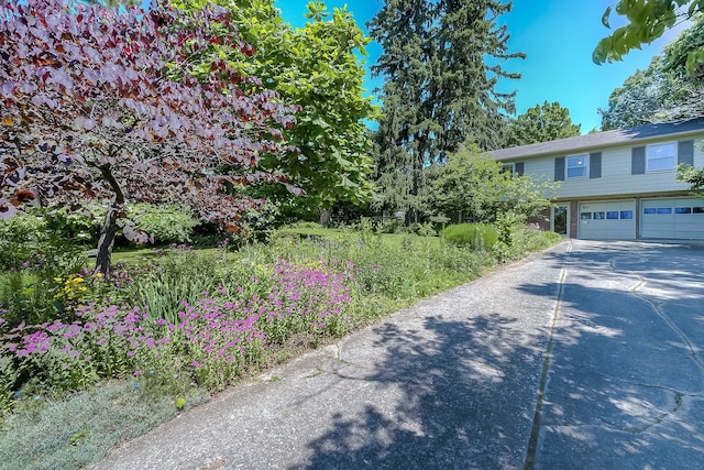 1011 Celia Ln, Lexington, KY 40504 - view of asphalt driveway