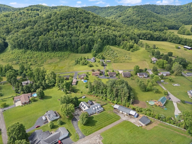 2299 Mcbrayer Rd, Clearfield, KY 40313 - view of property location with a heavily wooded area