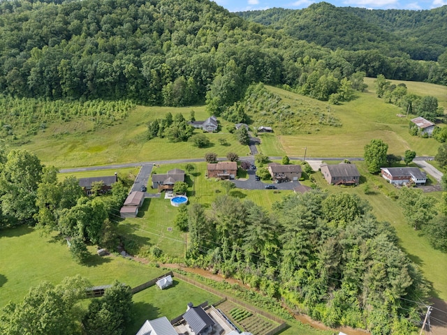 2299 Mcbrayer Rd, Clearfield, KY 40313 - bird's eye view of a heavily wooded area