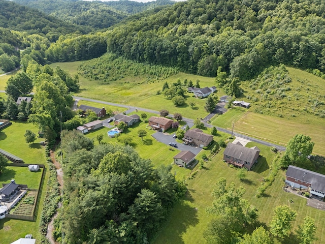2299 Mcbrayer Rd, Clearfield, KY 40313 - view of property location with a heavily wooded area