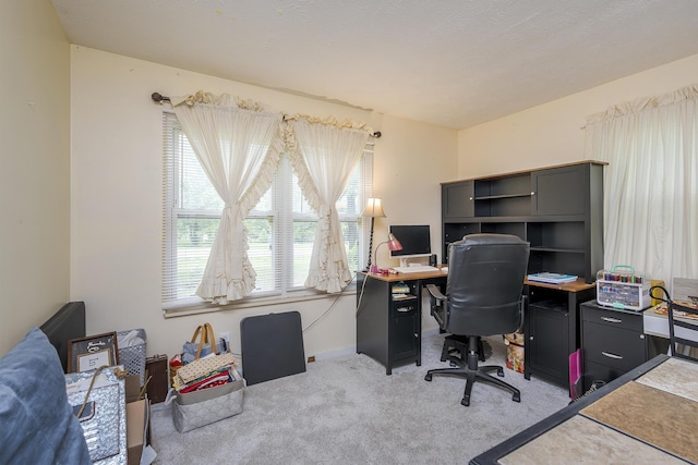 1390 Ky Highway 698, Stanford, KY 40484 - carpeted home office with baseboards