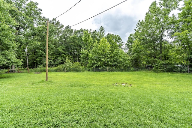 1390 Ky Highway 698, Stanford, KY 40484 - view of grassy yard