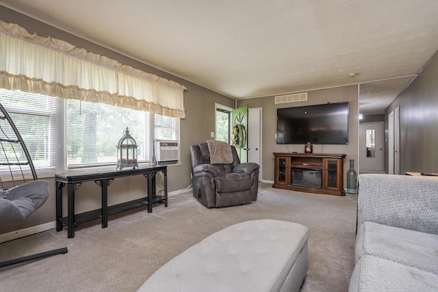 1390 Ky Highway 698, Stanford, KY 40484 - carpeted living room with a glass covered fireplace and cooling unit