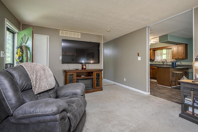 1390 Ky Highway 698, Stanford, KY 40484 - carpeted living area featuring baseboards and a sink