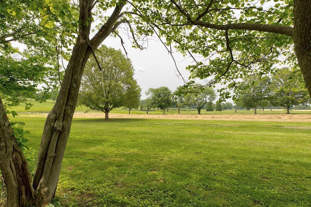 230 Fairway Dr, Nicholasville, KY 40356 - view of property's community featuring a lawn