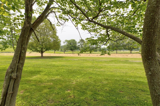 230 Fairway Dr, Nicholasville, KY 40356 - view of home's community featuring a yard