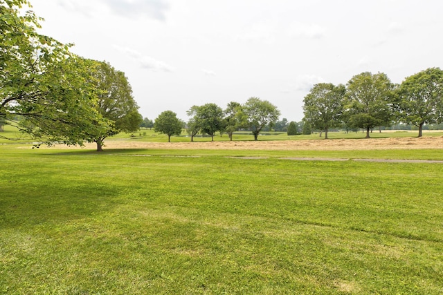 230 Fairway Dr, Nicholasville, KY 40356 - view of grassy yard