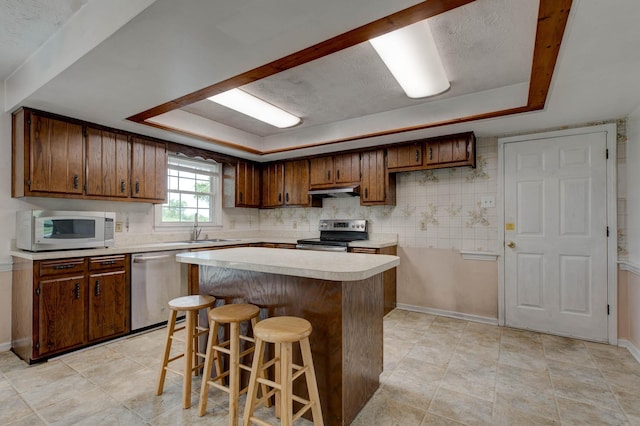 230 Fairway Dr, Nicholasville, KY 40356 - kitchen with stainless steel appliances, a tray ceiling, light countertops, and a center island