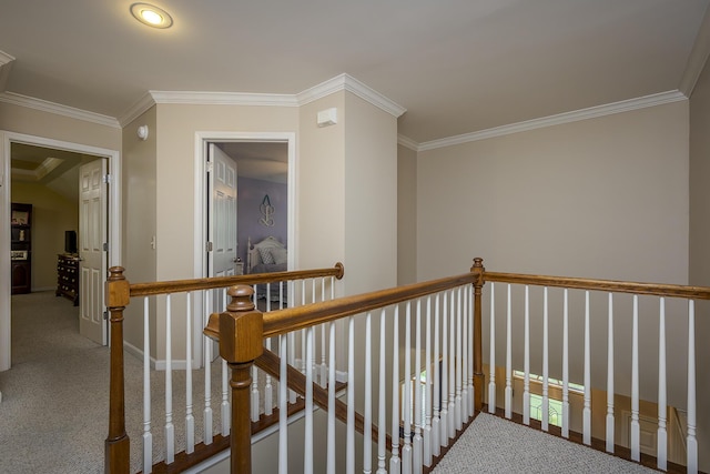 768 Emmett Creek Ln, Lexington, KY 40515 - corridor with an upstairs landing, carpet flooring, and crown molding