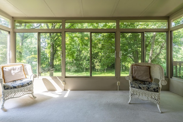 768 Emmett Creek Ln, Lexington, KY 40515 - view of sunroom / solarium