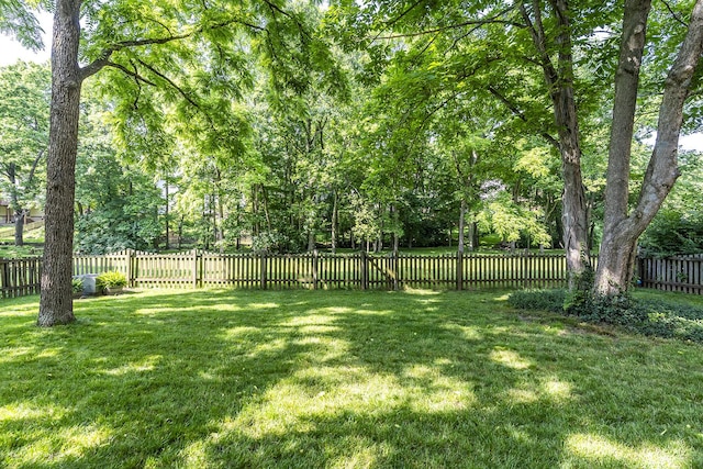 768 Emmett Creek Ln, Lexington, KY 40515 - view of fenced backyard