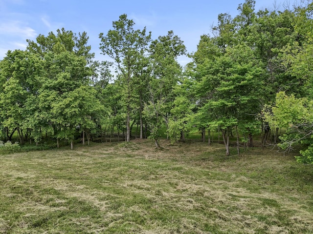 437 Boones Creek Rd, Lancaster, KY 40444 - view of grassy yard