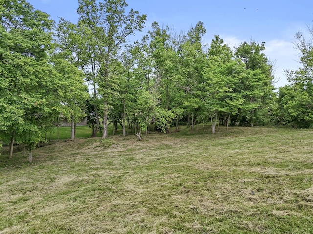437 Boones Creek Rd, Lancaster, KY 40444 - view of green lawn