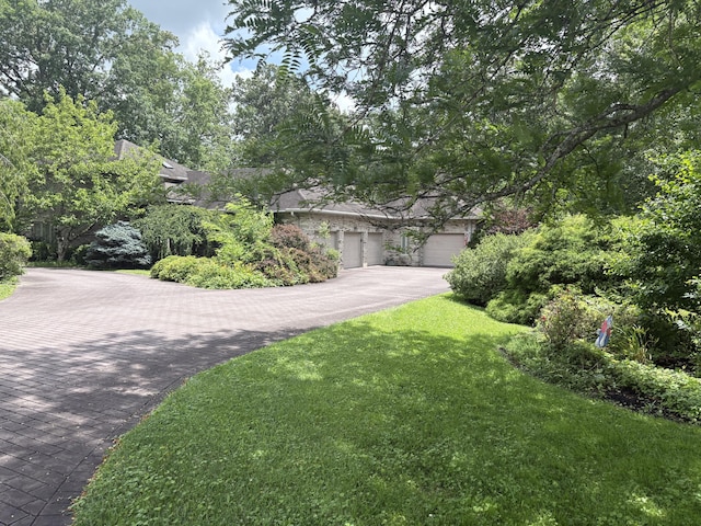 260 Beech Fork Blvd, Clay City, KY 40312 - view of property hidden behind natural elements featuring a front lawn and driveway