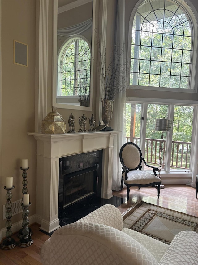 260 Beech Fork Blvd, Clay City, KY 40312 - living room featuring wood finished floors and a fireplace with flush hearth