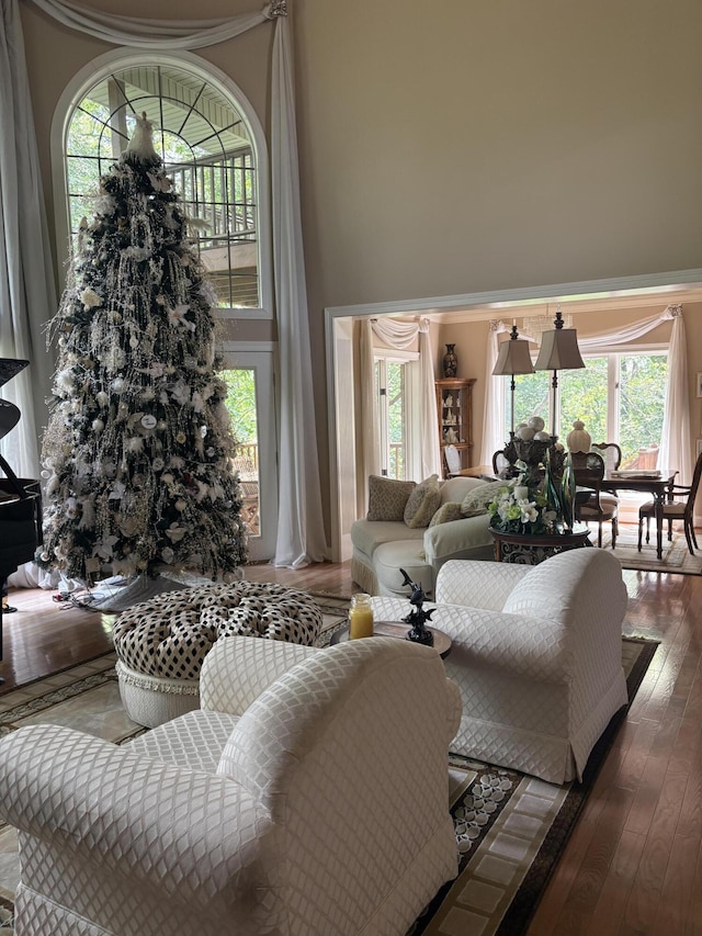 260 Beech Fork Blvd, Clay City, KY 40312 - living area with a towering ceiling and wood-type flooring