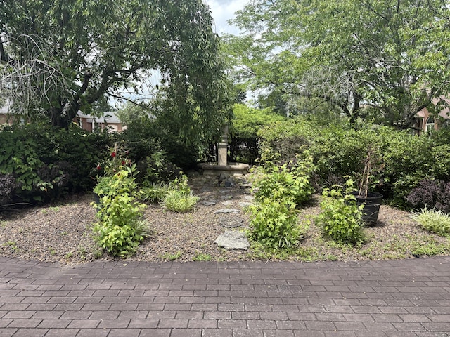 260 Beech Fork Blvd, Clay City, KY 40312 - view of yard