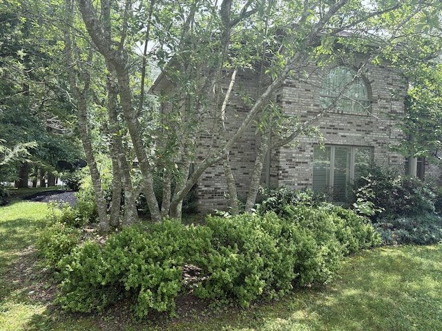 260 Beech Fork Blvd, Clay City, KY 40312 - view of undeveloped land