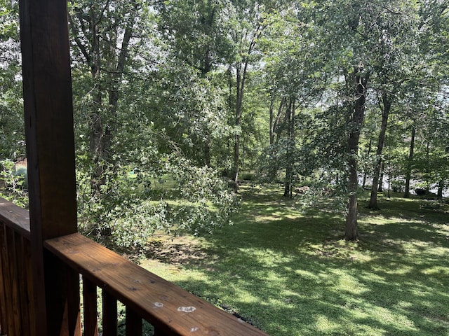 260 Beech Fork Blvd, Clay City, KY 40312 - view of grassy yard