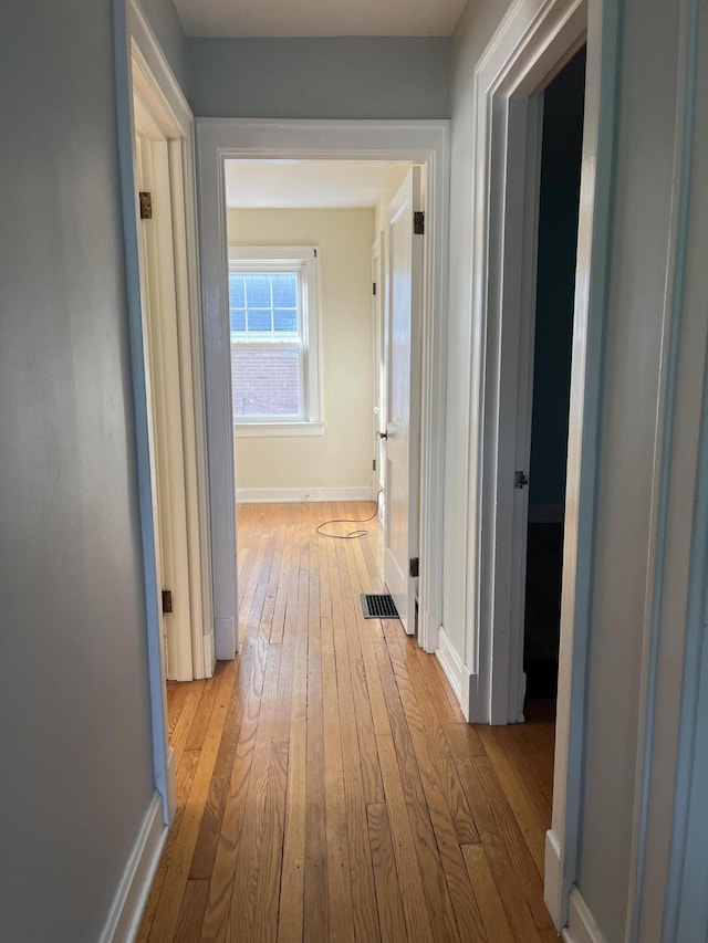 1134 Liberty Rd, Lexington, KY 40505 - hallway with light wood-style floors