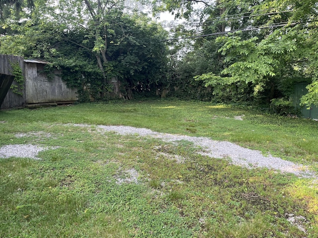 1134 Liberty Rd, Lexington, KY 40505 - view of grassy yard