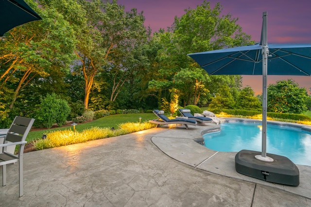 315 Whispering Brook Dr, Nicholasville, KY 40356 - pool at dusk with a patio area and an outdoor pool