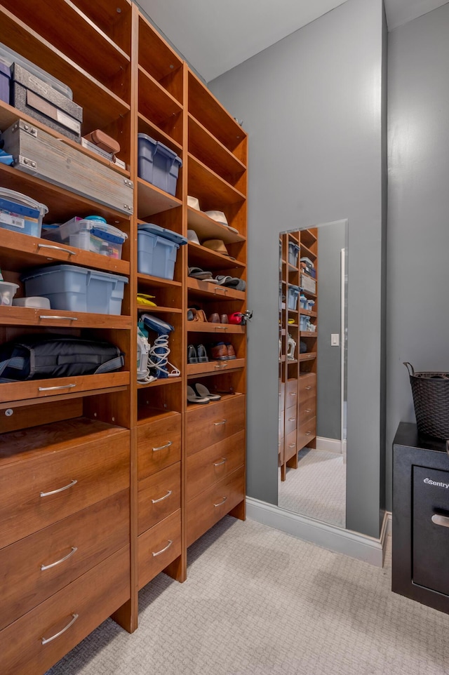 315 Whispering Brook Dr, Nicholasville, KY 40356 - walk in closet with carpet floors