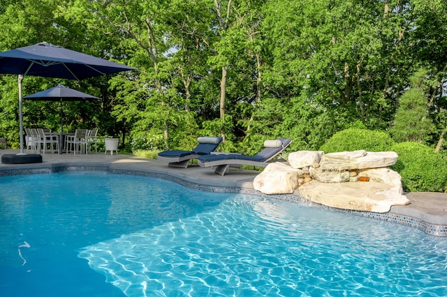 315 Whispering Brook Dr, Nicholasville, KY 40356 - swimming pool with a patio area