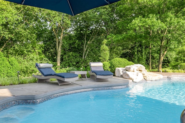 315 Whispering Brook Dr, Nicholasville, KY 40356 - outdoor pool featuring a patio