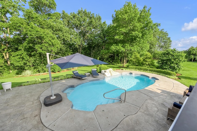 315 Whispering Brook Dr, Nicholasville, KY 40356 - outdoor pool with a patio, a lawn, and view of wooded area