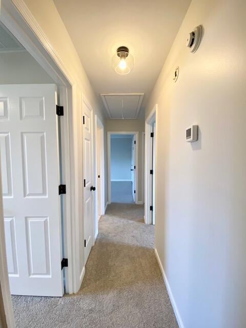 2929 Waco Rd, Lexington, KY 40503 - corridor with attic access and carpet flooring