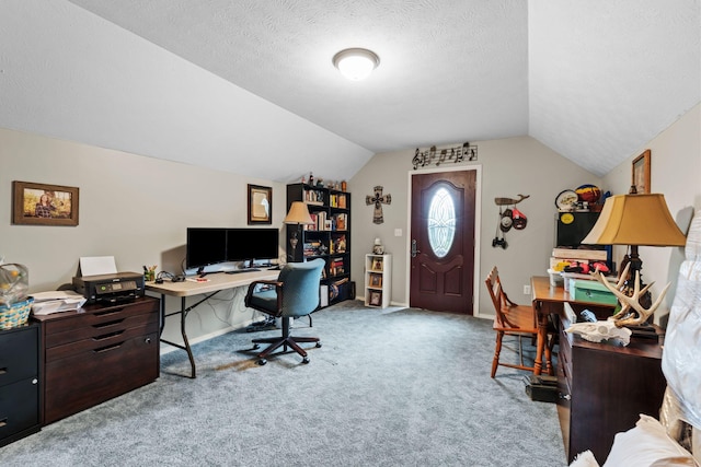 200 Maxwell Ln, Somerset, KY 42503 - carpeted office space featuring lofted ceiling and a textured ceiling