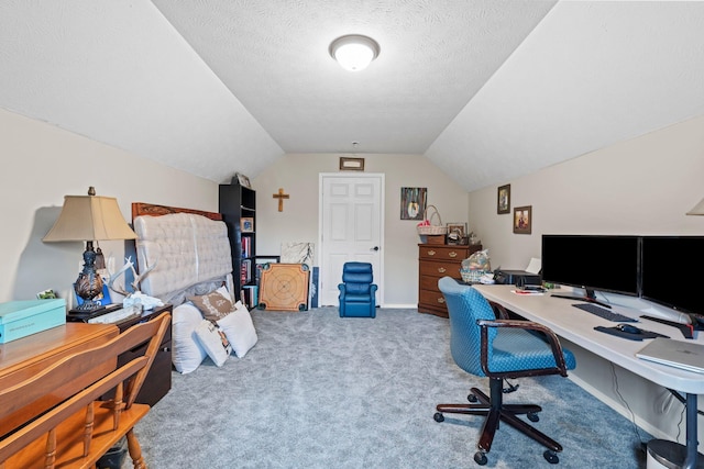 200 Maxwell Ln, Somerset, KY 42503 - office space with carpet floors, lofted ceiling, and a textured ceiling