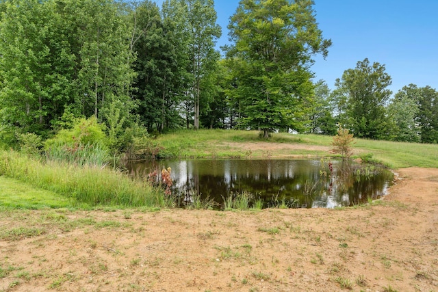 200 Maxwell Ln, Somerset, KY 42503 - water view