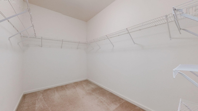 705 Dawson Springs Way, Lexington, KY 40511 - spacious closet featuring light carpet
