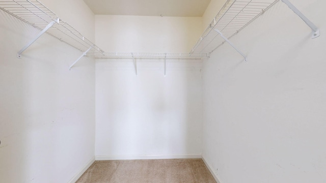 705 Dawson Springs Way, Lexington, KY 40511 - spacious closet featuring light carpet