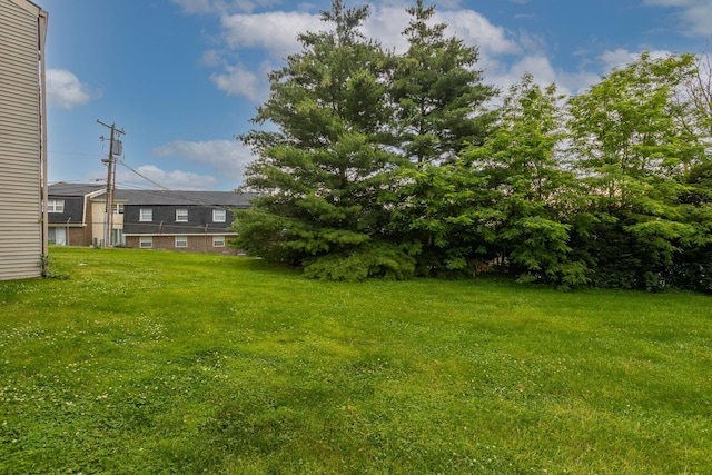 421 Redding Rd Unit 99, Lexington, KY 40517 - view of green lawn