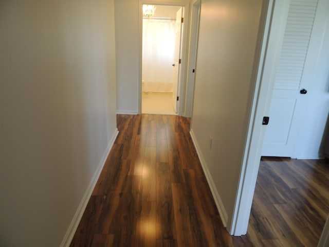 13 Scotland Dr, Frankfort, KY 40601 - corridor with dark wood-style floors and baseboards