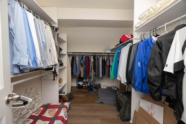 106 Squires Pointe Rd, Paris, KY 40361 - spacious closet with wood finished floors