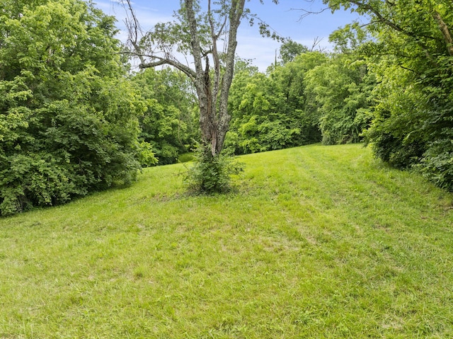 1651 Waits Rd, Cynthiana, KY 41031 - view of grassy yard
