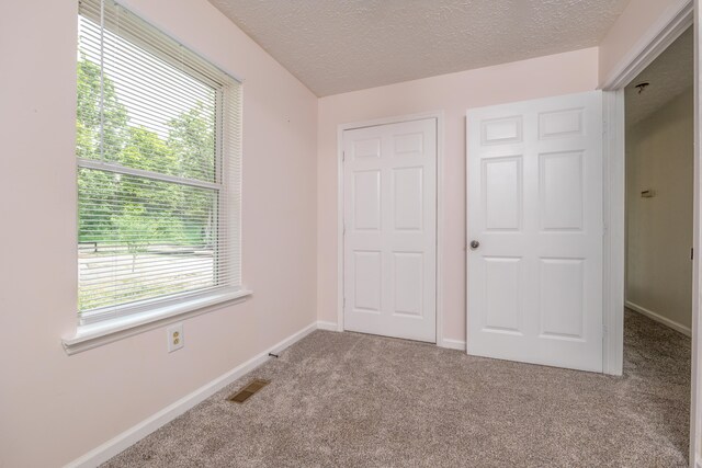 242 Possum Ridge Rd, West Liberty, KY 41472 - unfurnished bedroom featuring multiple windows, carpet, and a textured ceiling