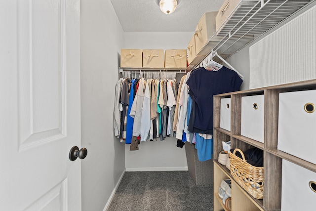155 Barren River Blvd, Georgetown, KY 40324 - walk in closet featuring carpet